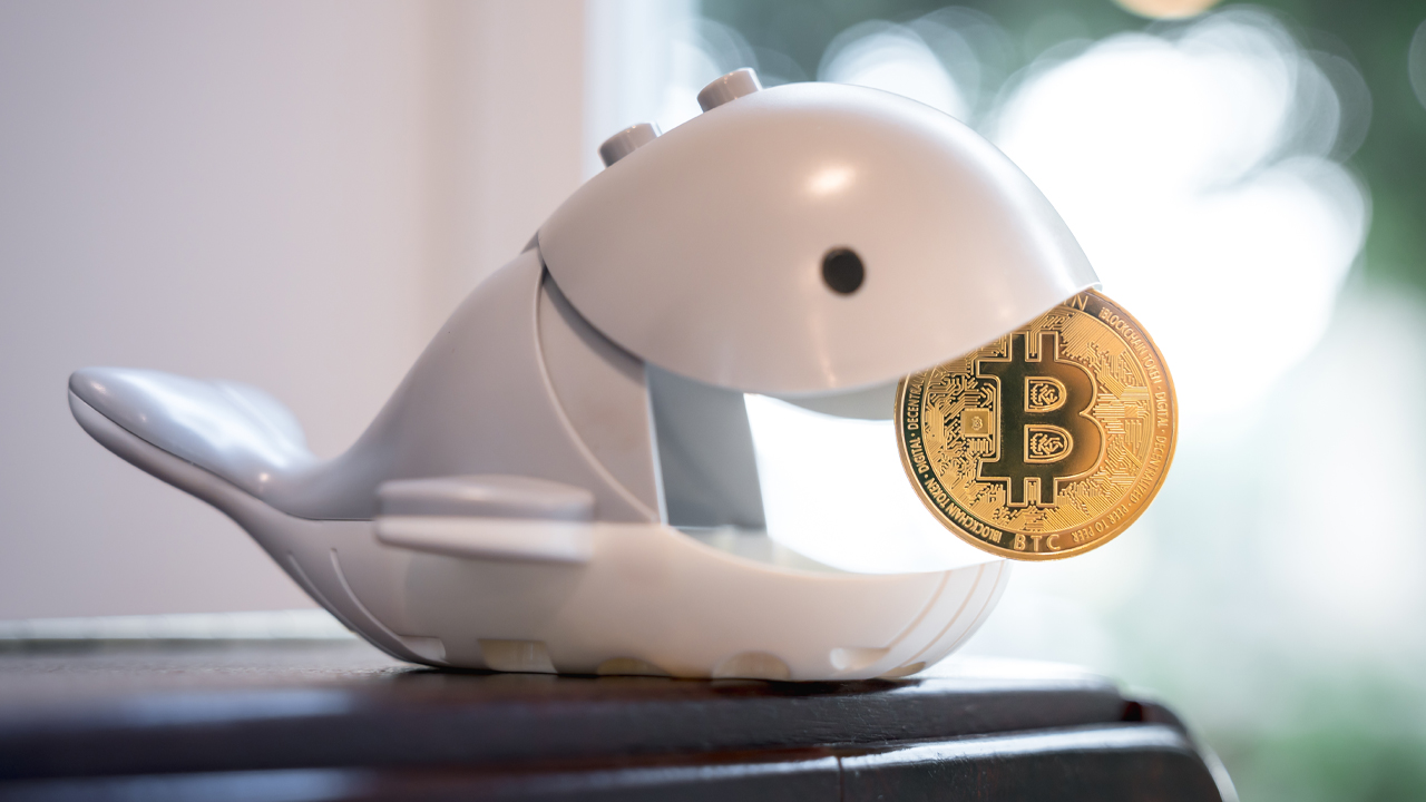 11 Yıldır Uyuyan Bitcoin Balinası Uyandı: Yatırımı Binlerce Kat Büyüdü!