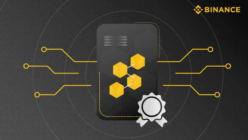Binance Rapor Yayınladı: Bu Kripto Paralara Dikkat Çekti!