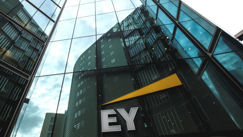 EY Lideri: Bu Altcoin Akıllı Paranın Gözdesi Olacak!