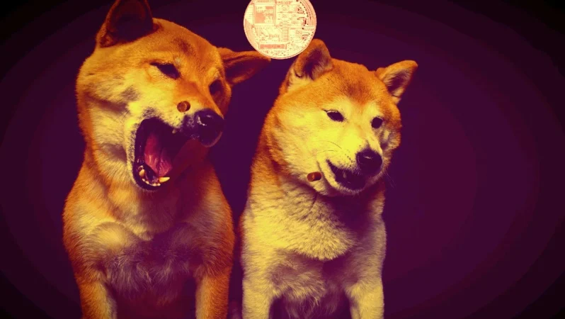 Ne DOGE Ne de BTC! Elon Musk Bu Coinden Bahsetti!