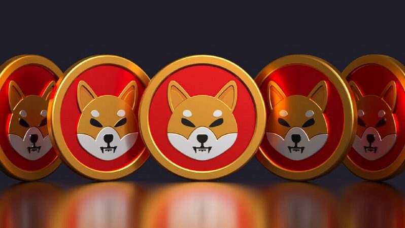 Shiba Inu (SHIB) Yetkilisi, Shibarium Beta Testini Duyurdu!