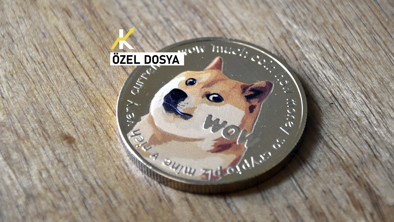 Yeni başlayanlar için Dogecoin: Ne zaman çıktı, Musk’ın desteğini nasıl aldı?